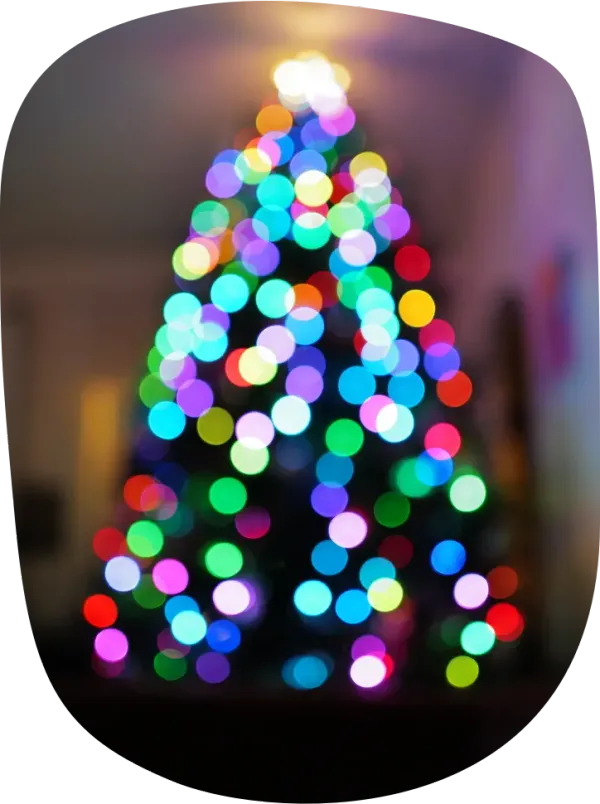 Happy Holidays from Dave!